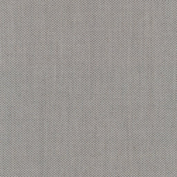 251