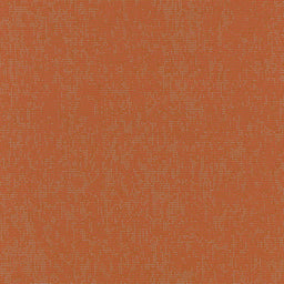 541