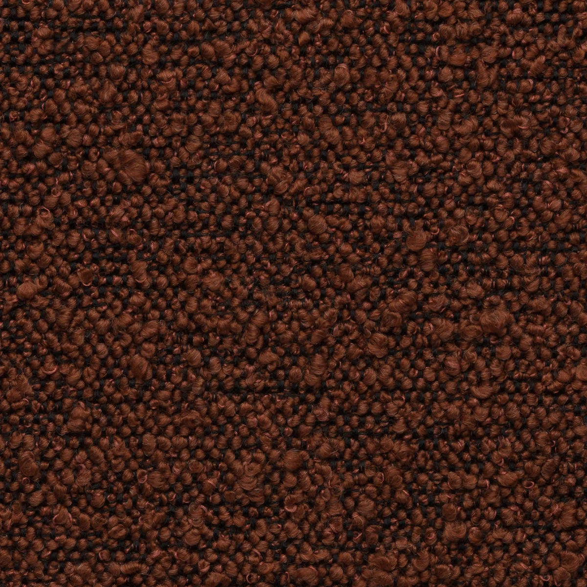 Option Couleur Bouclette
